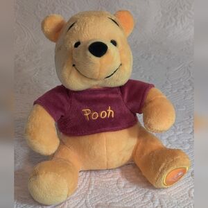 VTG Winnie the Pooh Plush Walt Disney World Theme Park Musical Bear Moving Limbs